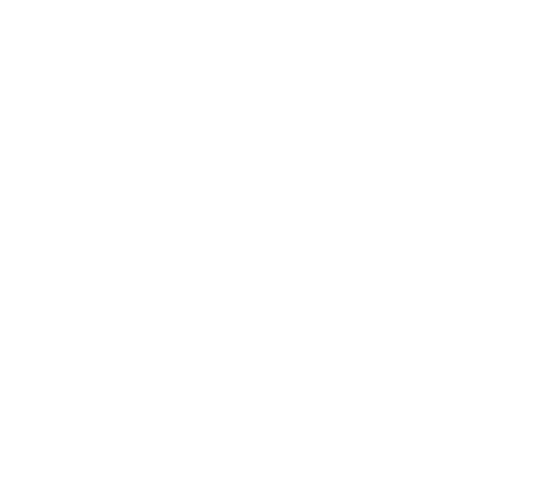 BMIT Perspectives Logo